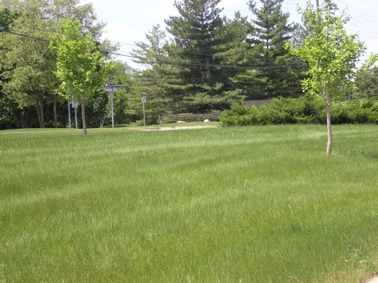 The is the signage for Parkland Plaza (not so easy to spot)